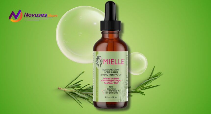 best rosemary oil brand