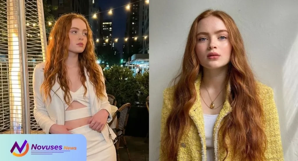 Sadie Sink Career