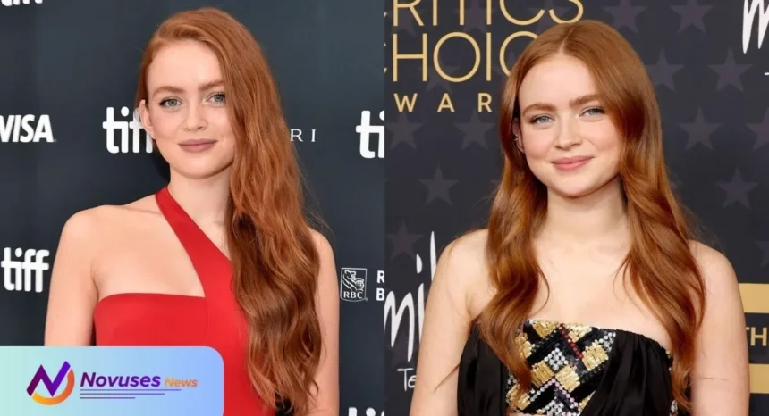 Sadie Sink Net Worth